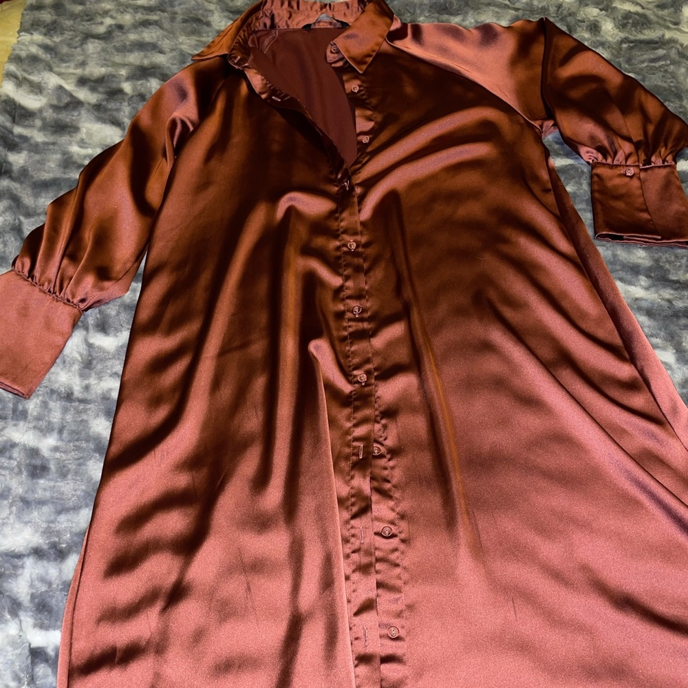 Zara Silk Shirt Dress